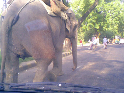 Indian Traffic: What we see on the way to school